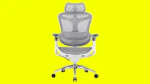 Amazon Announces Significant Price Cuts on Sihoo Ergonomic Office Chairs, Featuring the Budget-Friendly M18 and the Premium Doro C300 Pro
