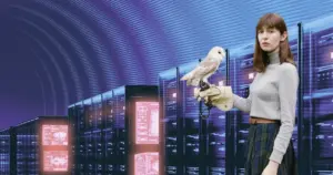 Irish Planning Permission for Mayo Data Center Overturned Following Climate Objections from Author Sally Rooney