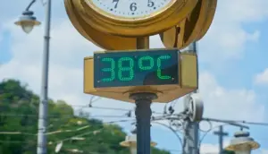 Urban Allotments Offer Significant Cooling Benefits for European Cities Amid Rising Temperatures
