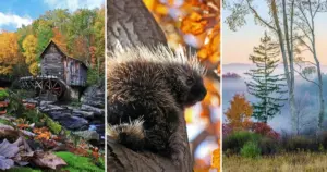 Mastering the Fleeting Canvas: Lessons from Two Decades of Autumn Landscape Photography
