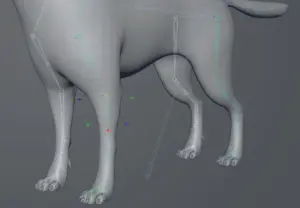 The Foundation of Digital Motion: Mastering Joint Orientation in 3D Character Rigging