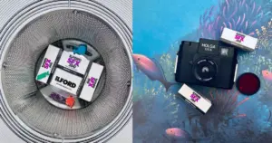 The Haunting Allure of Ilford SFX: Exploring the Near-Infrared World of a Resurrected Film Classic