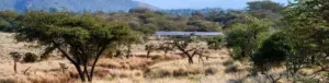 UK Government Pledges Over £2 Million to Accelerate Clean Energy Transitions Across Eight African Nations